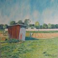 la cabane en tôles du jardin ouvrier 80x80